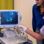 SOMT_Pelvic_Education_Bilder-3