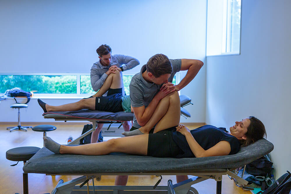 dubbele master fysiotherapie studenten praktijkbank les